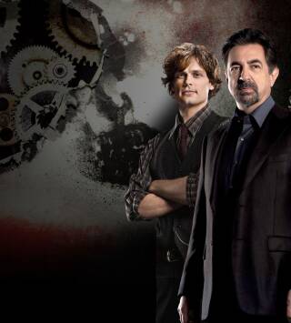 Mentes criminales (T14): Ep.9 Ala rota