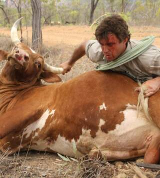 Un vaquero australiano: Acampando con cocodrilos