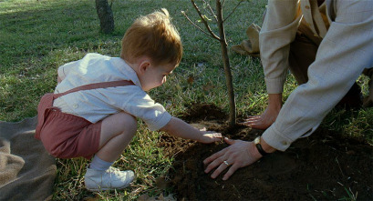 El árbol de la vida