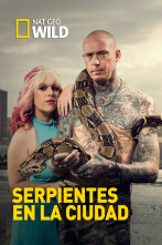 Serpientes en la ciudad: La serpiente fantasma