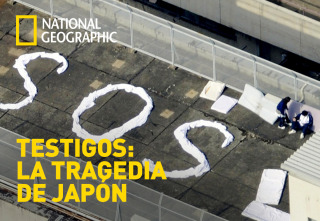 Testigos: la tragedia de Japón