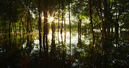 Grandes ríos: Amazonas