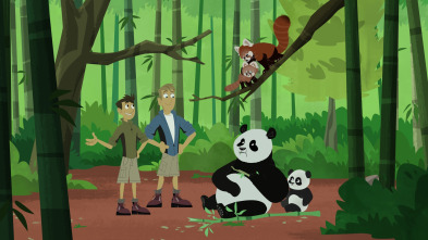 Los hermanos Kratt (T4): Los colores de China