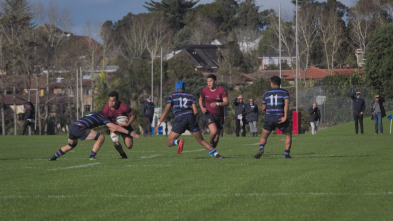 Historia del rugby: Un deporte profesional