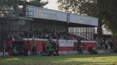 Historia del rugby: Un deporte profesional