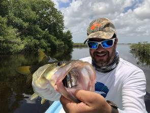 De viaje: pescando en los manglares mayas