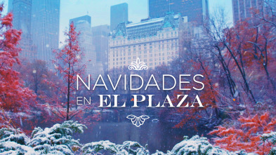 Navidades en el Plaza