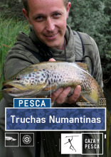 Truchas Numantinas