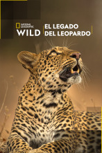 El legado de la leoparda