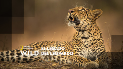 El legado de la leoparda