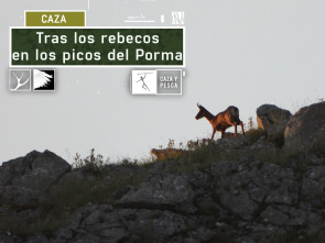 Tras los rebecos en los Picos del Porma