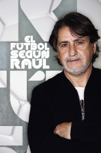 El fútbol según Raúl (2)