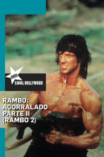 Rambo: Acorralado - Parte II