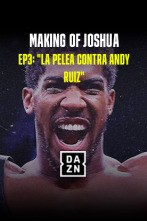 The Making of... (1): La pelea contra Andy Ruiz