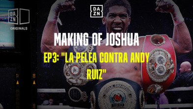 The Making of... (1): La pelea contra Andy Ruiz