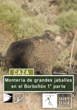 Montería de grandes jabalies en El Borbollón. 1ª parte