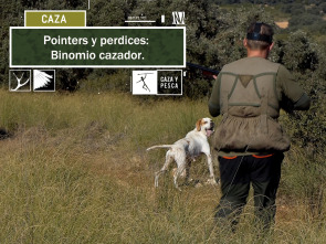 Pointers y perdices: Binomio cazador