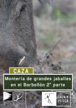 Montería de grandes jabalies en El Borbollón. 2ª parte