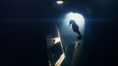 Mediterráneo: un mar...: La odisea del nacimiento