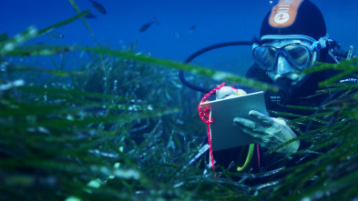 Mediterráneo: un mar...: Los guardianes del Mediterráneo