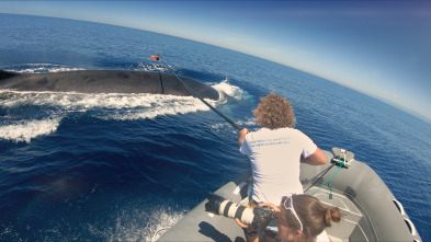 Mediterráneo: un mar...: Los guardianes del Mediterráneo