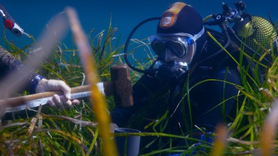 Mediterráneo: un mar...: Los guardianes del Mediterráneo