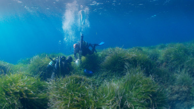 Mediterráneo: un mar...: Los guardianes del Mediterráneo