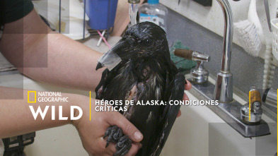 Héroes de Alaska: condiciones críticas