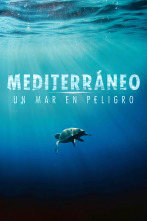 Mediterráneo: un mar en peligro 