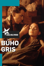 Búho gris