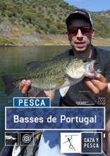 Basses de Portugal