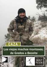 Los viejos machos monteses: De Gredos a Beceite