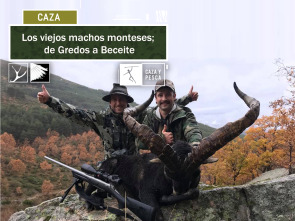 Los viejos machos monteses: De Gredos a Beceite