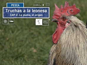 Truchas a la leonesa: La pluma, el origen