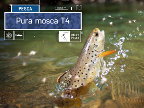 Pura mosca (T4)