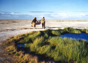 Wim Wenders, Desperado