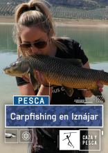 Carpfishing en Iznájar