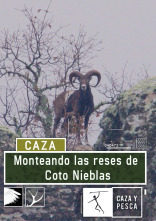 Monteando las reses de Coto Nieblas