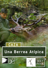 Una berrea atípica