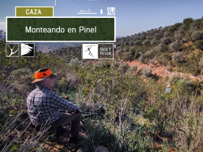 Lances Monteros... (T1): Monteando en Pinel