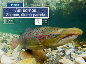 Así somos (T1): Salmón, última parada