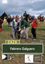 Febrero galguero