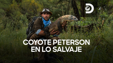 Coyote Peterson en lo...: Atrapar un monitor