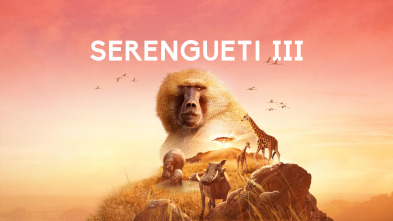 Serengueti 