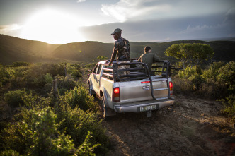 Quebec a vista de... (T12): Safaris de antílopes en Sudáfrica