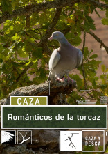 Románticos de la torcaz