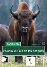 Polonia. El país de los bosques