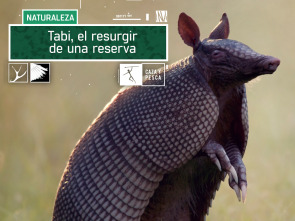 Tabi, el resurgir de una reserva