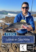 Lubinas en Cabo Home