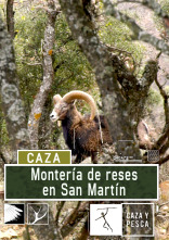 Montería de reses en San Martín